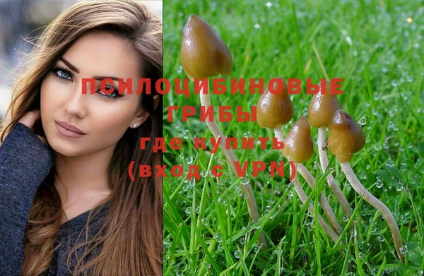 MDMA Premium VHQ Верея