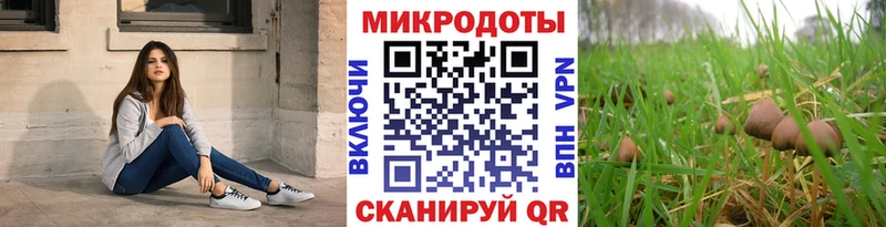 Галлюциногенные грибы мухоморы  как найти   Чита 